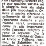 Gazzetta di Modena 1972 le uve di Staggia