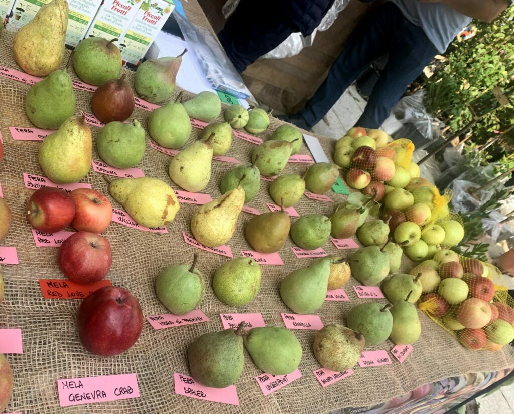 Varietà di pere antiche